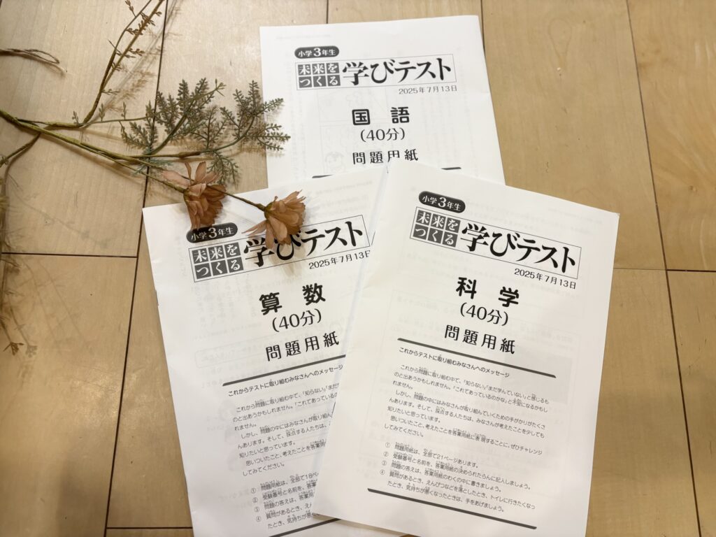 未来をつくる学びテスト