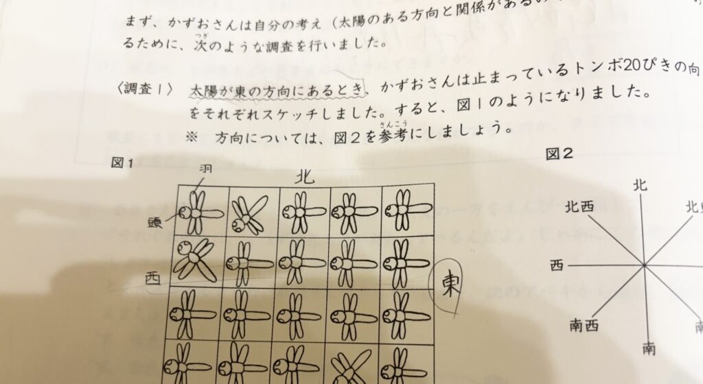 日能研テキスト