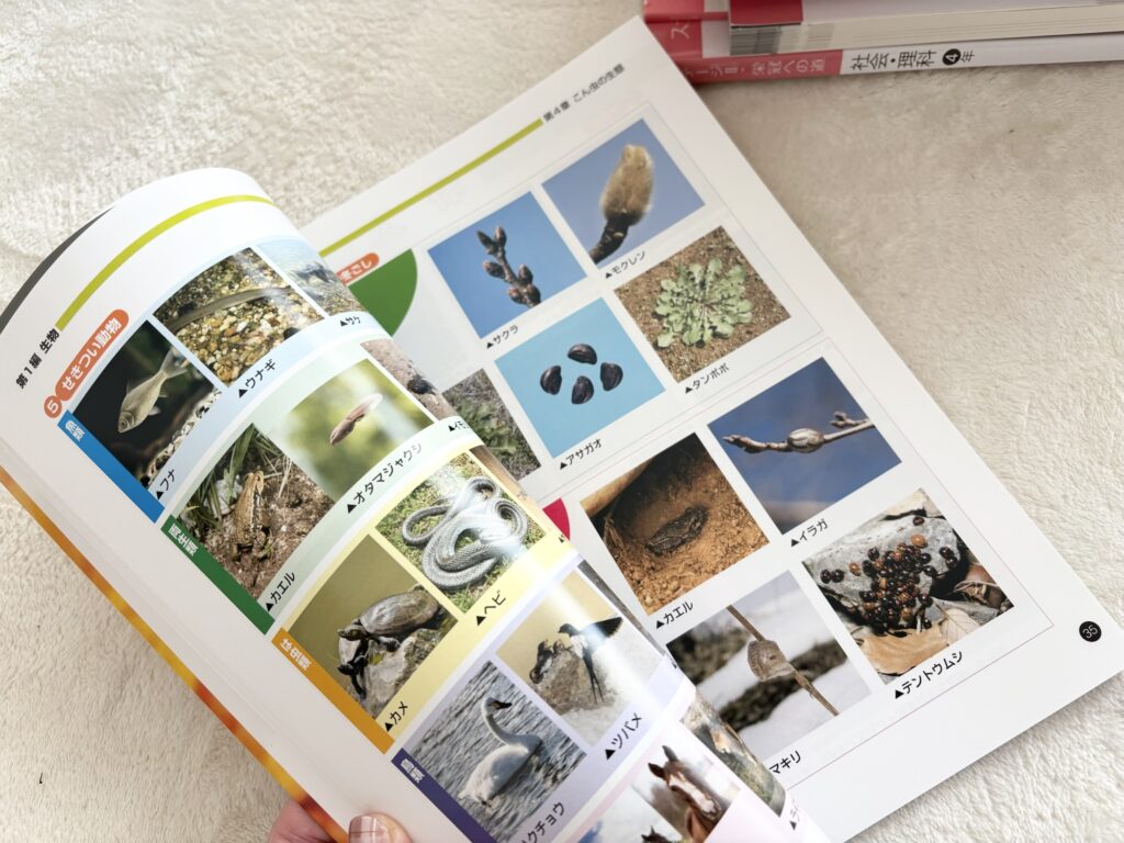 日能研4年テキスト