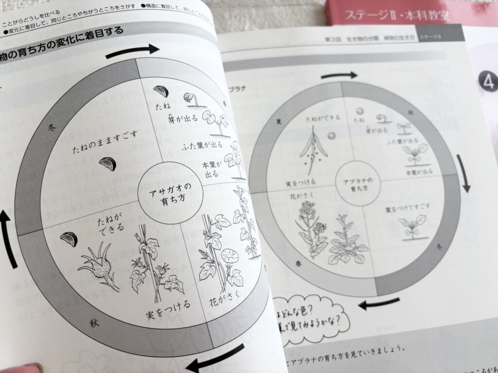 日能研4年テキスト