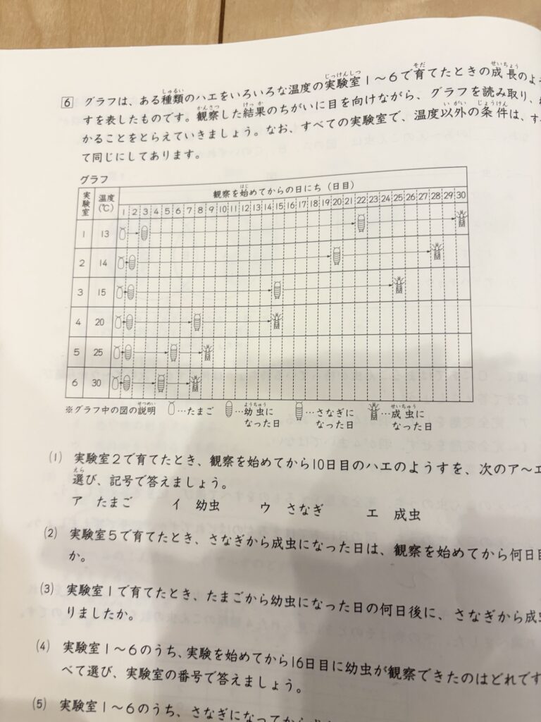 日能研春期講習
