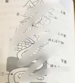 3年夏期講習】日能研の日程カリキュラムと費用！テストの結果は