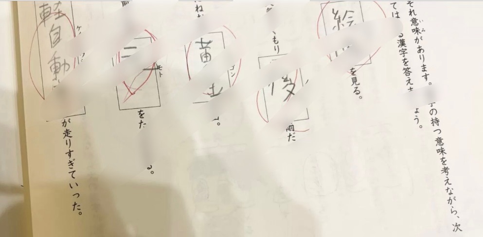 3年夏期講習】日能研の日程カリキュラムと費用！テストの結果は