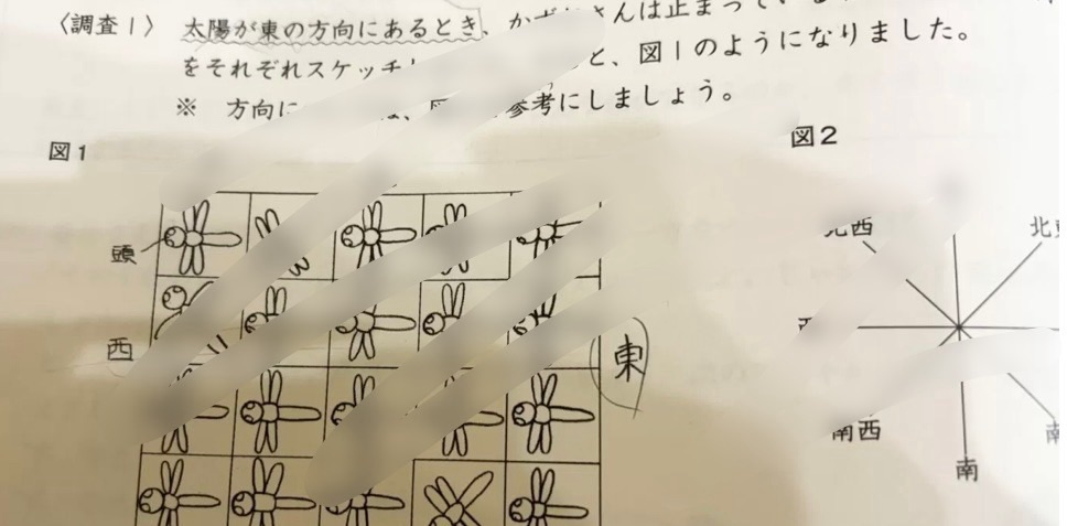 3年夏期講習】日能研の日程カリキュラムと費用！テストの結果は